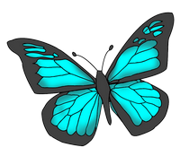 a pretty blue butterfly 